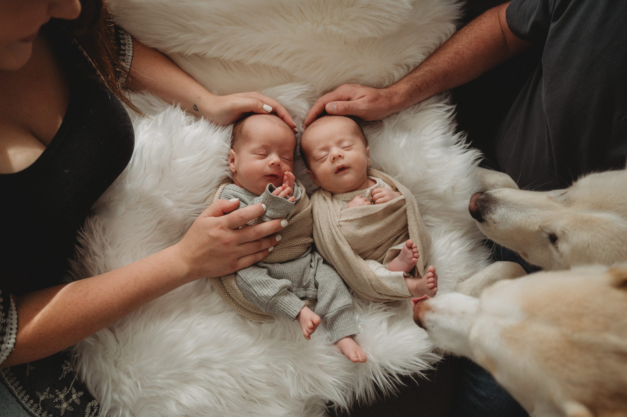 natural newborn session thunder bay