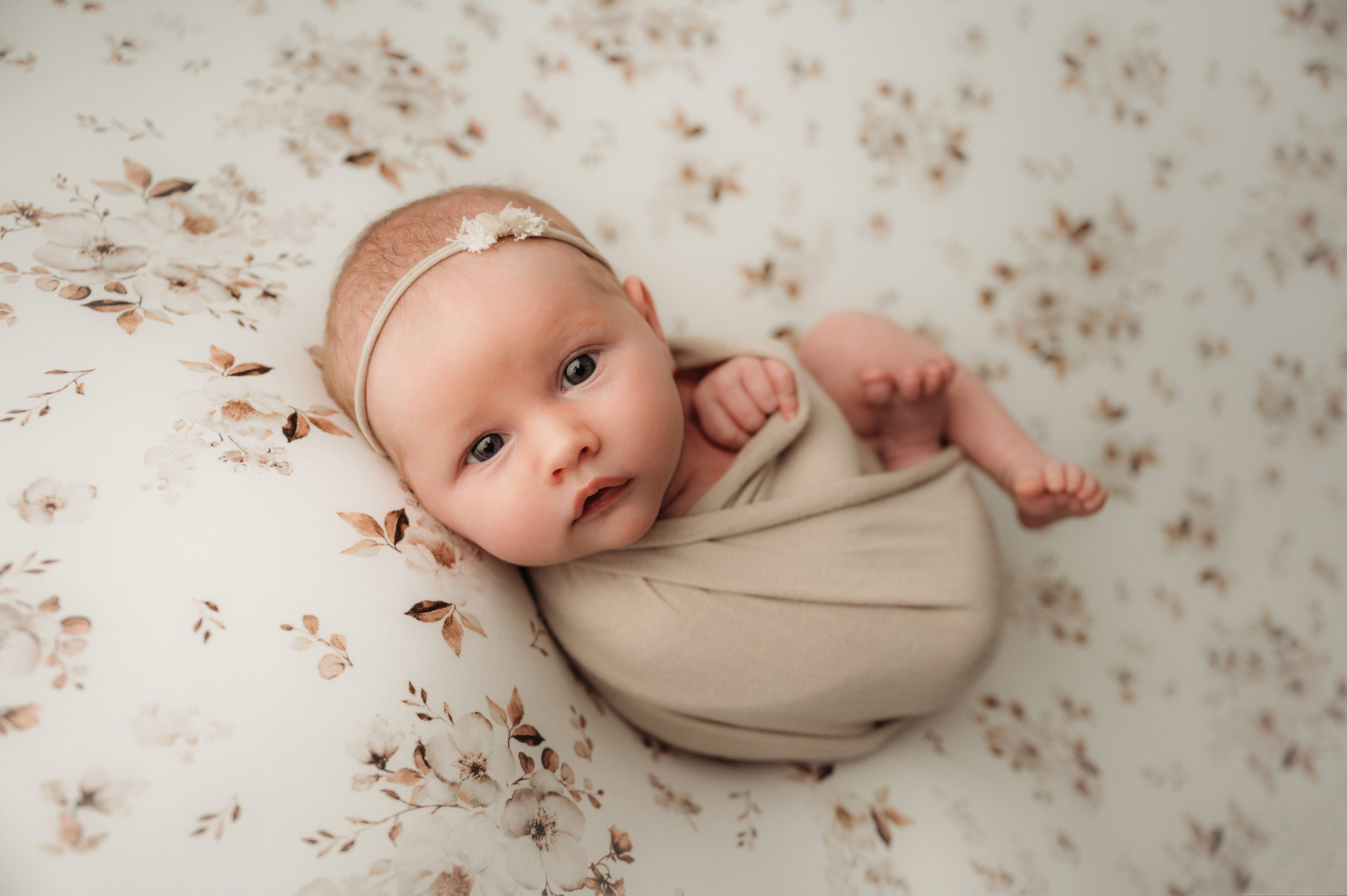 thunder bay newborn photographer2